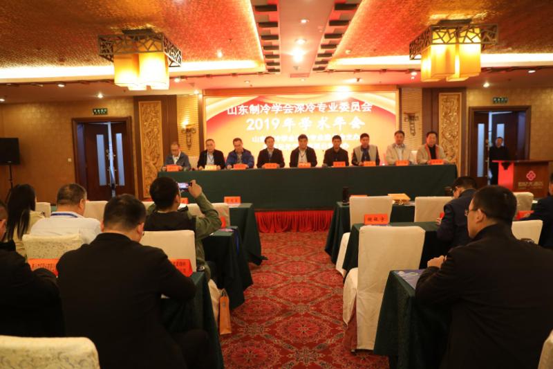 九州体育(中国)有限公司官网深冷委员会召开2019年学术年会